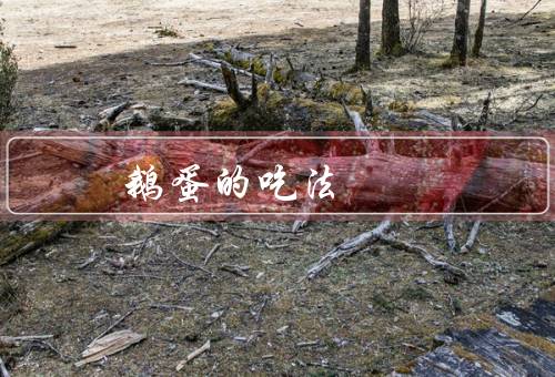 鹅蛋的吃法
