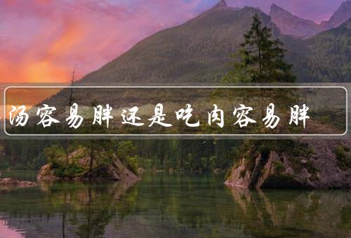 喝汤容易胖还是吃肉容易胖
