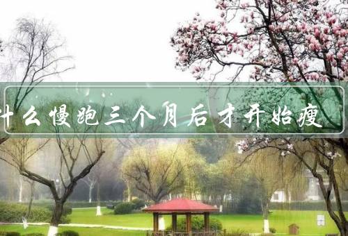 为什么慢跑三个月后才开始瘦