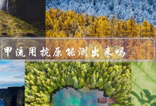 甲流用抗原能测出来吗
