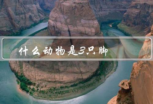 什么动物是3只脚