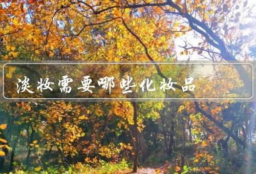 淡妆需要哪些化妆品