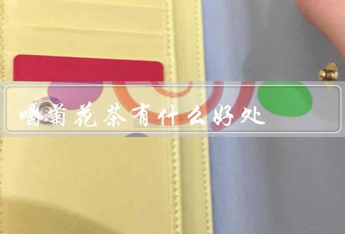喝菊花茶有什么好处
