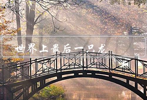 世界上最后一只龙