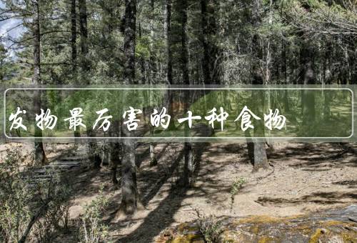 发物最厉害的十种食物