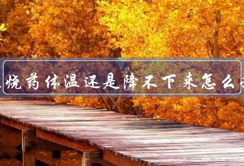 吃了退烧药体温还是降不下来怎么办
