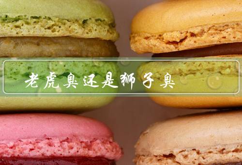 老虎臭还是狮子臭