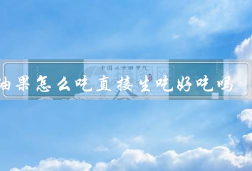 牛油果怎么吃直接生吃好吃吗