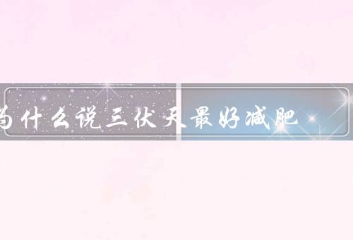 为什么说三伏天最好减肥