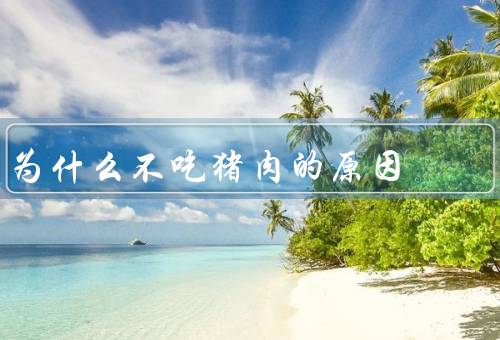 为什么不吃猪肉的原因