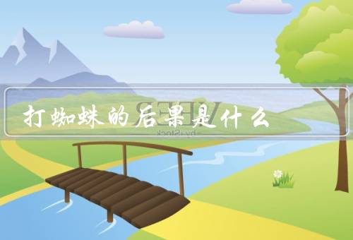 打蜘蛛的后果是什么