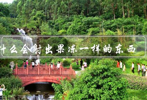 为什么会射出果冻一样的东西（黏性液体的特性、喷射机制、案例分析）