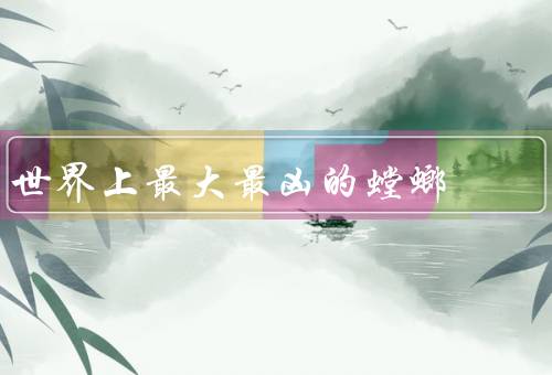 世界上最大最凶的螳螂，繁殖／生活习性