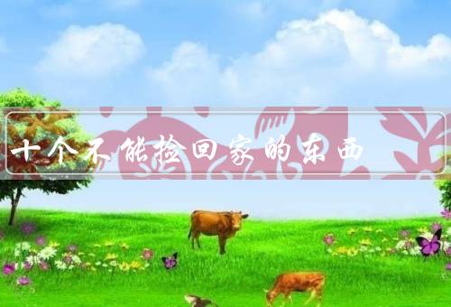 十个不能捡回家的东西（毒药、炸药、非法武器）
